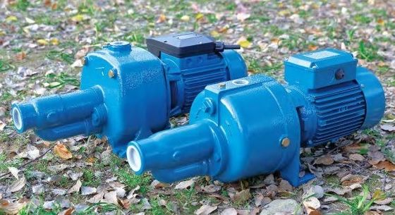 Mini Electric Water Pump Vortex-Roestvrij staal Jet Pump High Pressure